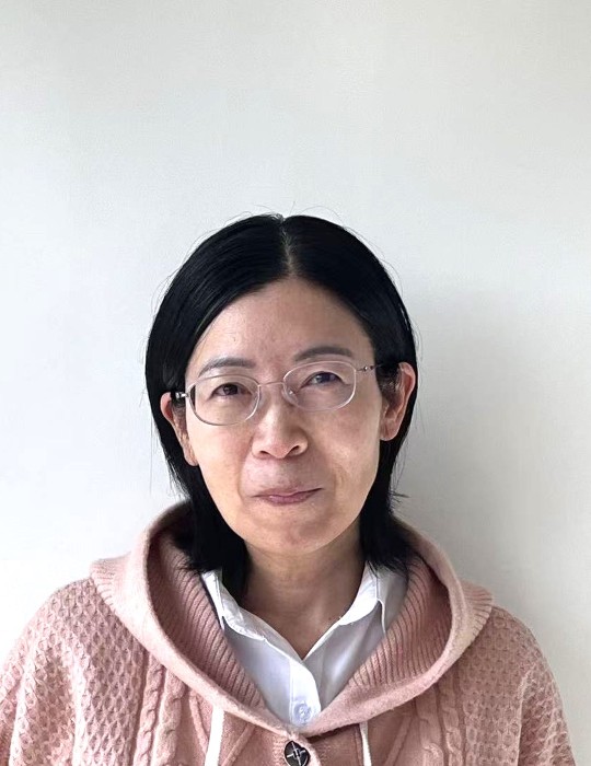 Hongmei Lu